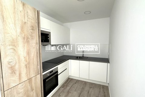 Купить квартиру в Андорра, Испания с 2 спальни, 90м², № 5368 - фото 4