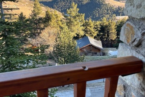 Propiedad comercial de 2731 m² en venta en Alp, Gerona, Cataluña, Spain № 8374 - foto 10