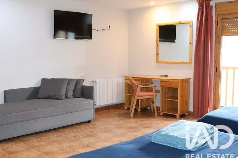 Propiedad comercial de 2731 m² en venta en Alp, Gerona, Cataluña, Spain № 8374 - foto 13