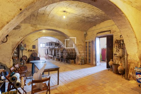 16 chambres villa à vendre à Sant Vicenc De Montalt, Barcelona, Catalonia, Spain № 6274 - photo 5