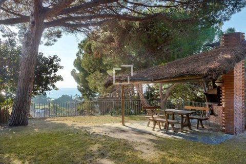 Villa de 7 dormitorios en venta en Sant Andreu de Llavaneres, Barcelona, Cataluña, Spain № 8666 - foto 22