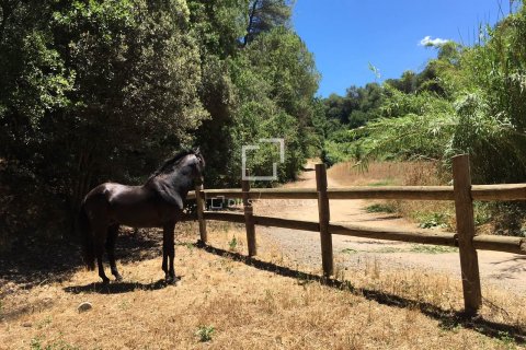 Parcela en venta en Sant Cugat del Vallès, Barcelona, Cataluña, Spain № 8554