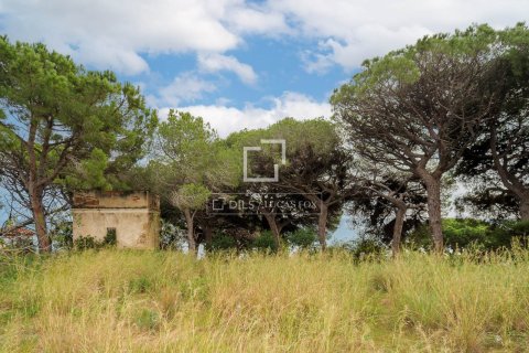 land plot for sale in Arenys de Mar, Barcelona, Catalonia, Spain № 8556 - photo 9
