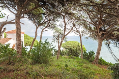 land plot for sale in Arenys de Mar, Barcelona, Catalonia, Spain № 8556 - photo 3