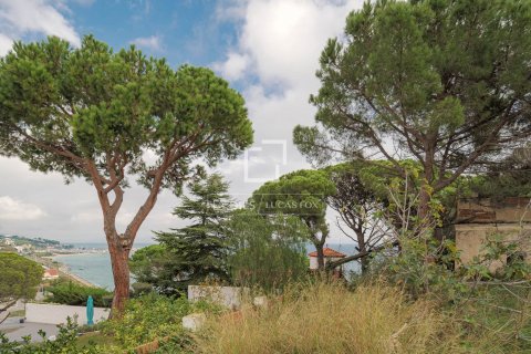 land plot for sale in Arenys de Mar, Barcelona, Catalonia, Spain № 8556 - photo 5
