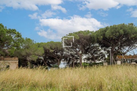 land plot for sale in Arenys de Mar, Barcelona, Catalonia, Spain № 8556 - photo 8