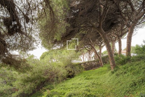 land plot for sale in Arenys de Mar, Barcelona, Catalonia, Spain № 8556 - photo 14