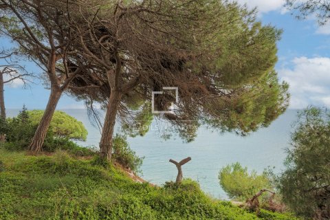 Parcela en venta en Arenys de Mar, Barcelona, Cataluña, Spain № 8556