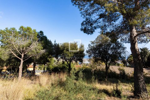 land plot for sale in Cabrils, Barcelona, Catalonia, Spain № 8584 - photo 5