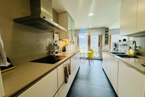Купить квартиру в Андорра, Испания с 4 спальни, 145м², № 5286 - фото 5
