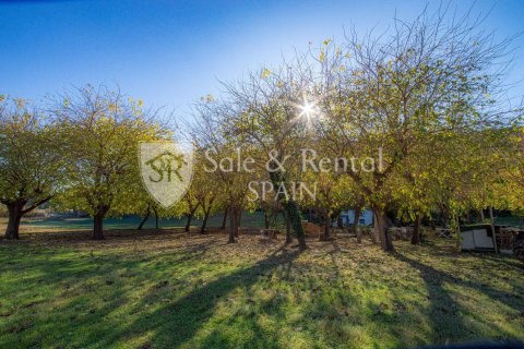 Купить дом в Сан-Поль-де-Мар, Испания с 4 спальни, 270м², № 6716 - фото 21