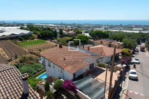 Купить виллу в Кабрильс, Испания с 4 спальни, 226м², № 8812 - фото 25