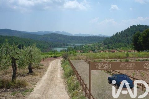 Parcela de 88500 m² en venta en Els Guiamets, Tarragona, Cataluña, Spain № 4676 - foto 8