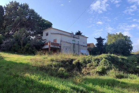 Parcela de 4800 m² en venta en Canet de Mar, Barcelona, Cataluña, Spain № 4678 - foto 2