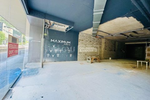Снять в аренду коммерческую недвижимость в Андорра, Испания 395м², № 6114 - фото 7