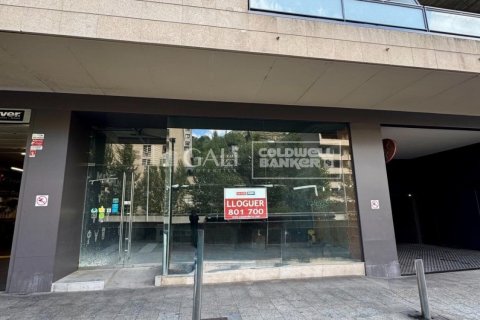 Снять в аренду коммерческую недвижимость в Андорра, Испания 395м², № 6114 - фото 4