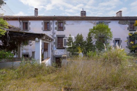 1847 sq.m. commercial property for sale in Sant Andreu de Llavaneres, Barcelona, Catalonia, Spain № 8639 - photo 22