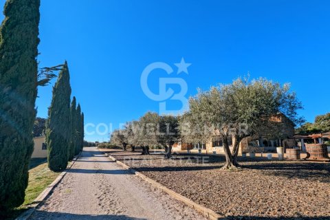 Сasa de 15 dormitorios en venta en Llers, Gerona, Cataluña, Spain № 5390 - foto 13