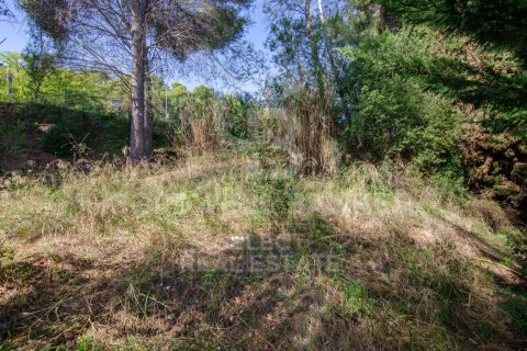 Parcela de 1000 m² en venta en Cerdanyola del Vallès, Barcelona, Cataluña, Spain № 7971 - foto 6