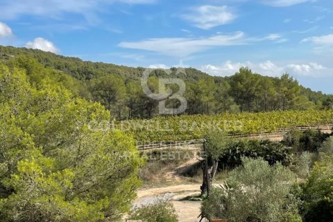 Сasa de 18 dormitorios en venta en Vilanova i la Geltrú, Barcelona, Cataluña, Spain № 6078 - foto 25