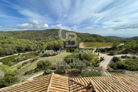 Сasa de 18 dormitorios en venta en Vilanova i la Geltrú, Barcelona, Cataluña, Spain № 6078 - foto 5