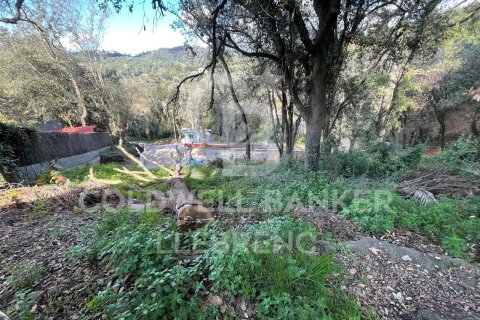 Parcela de 600 m² en venta en Barcelona, Cataluña, Spain № 6079 - foto 4