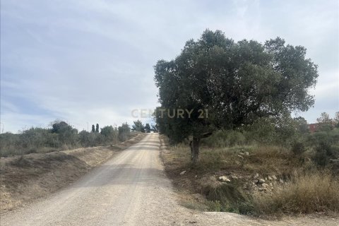 land plot for sale in Vilafranca Del Penedes, Barcelona, Catalonia, Spain № 7004 - photo 10