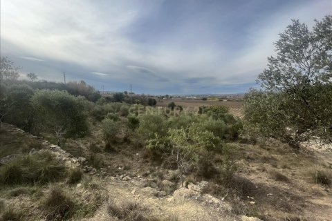 land plot for sale in Vilafranca Del Penedes, Barcelona, Catalonia, Spain № 7004 - photo 2