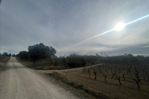 land plot for sale in Vilafranca Del Penedes, Barcelona, Catalonia, Spain № 7004 - photo 7