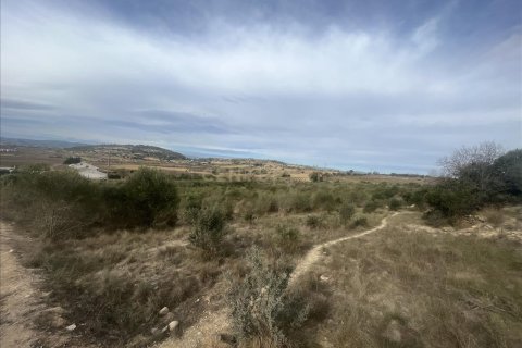 land plot for sale in Vilafranca Del Penedes, Barcelona, Catalonia, Spain № 7004 - photo 4