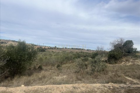 land plot for sale in Vilafranca Del Penedes, Barcelona, Catalonia, Spain № 7004 - photo 3