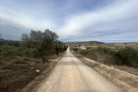 land plot for sale in Vilafranca Del Penedes, Barcelona, Catalonia, Spain № 7004 - photo 6