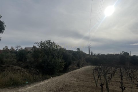 land plot for sale in Vilafranca Del Penedes, Barcelona, Catalonia, Spain № 7004 - photo 8