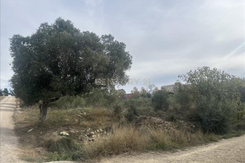 land plot for sale in Vilafranca Del Penedes, Barcelona, Catalonia, Spain № 7004 - photo 9