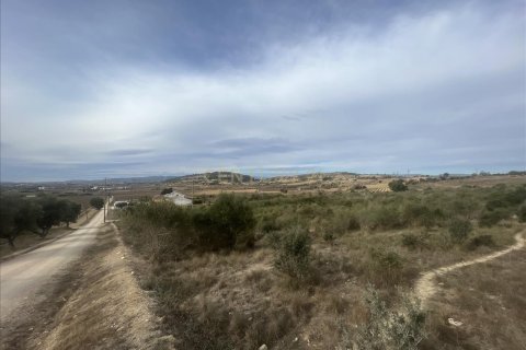 land plot for sale in Vilafranca Del Penedes, Barcelona, Catalonia, Spain № 7004 - photo 5
