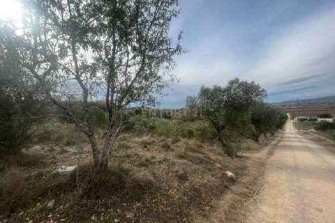 Parcela en venta en Vilafranca Del Penedes, Barcelona, Cataluña, Spain № 7004