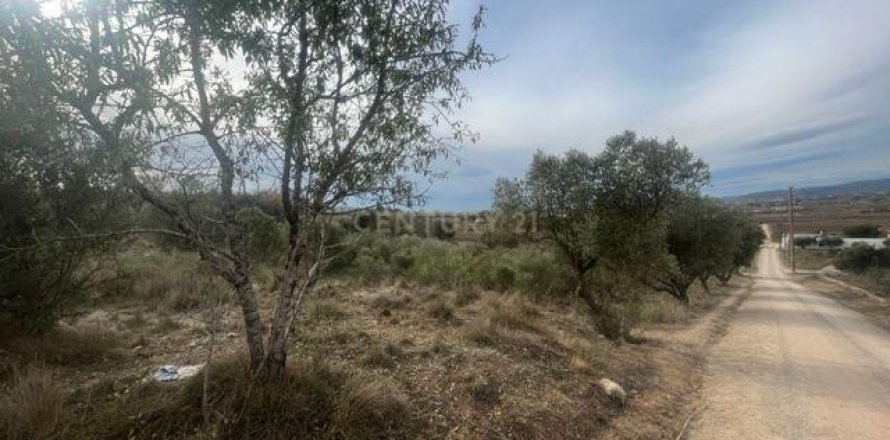land plot for sale in Vilafranca Del Penedes, Barcelona, Catalonia, Spain № 7004