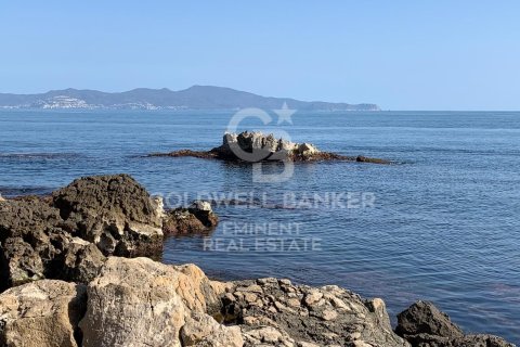 Cafetería / restaurante de 243 m² en venta en L'Escala, Gerona, Cataluña, Spain № 5855 - foto 6