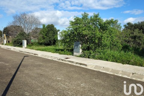 Parcela de 1255 m² en venta en Santa Margarida i els Monjos, Barcelona, Cataluña, Spain № 4926 - foto 3