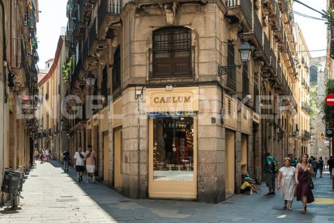 Propiedad comercial de 155 m² en venta en Ciudad Vieja, Barcelona, Cataluña, Spain № 2631 - foto 12