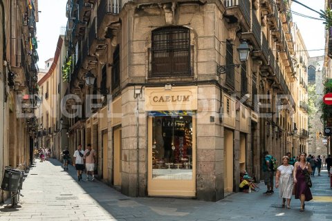 Propiedad comercial de 155 m² en venta en Ciudad Vieja, Barcelona, Cataluña, Spain № 2630 - foto 12