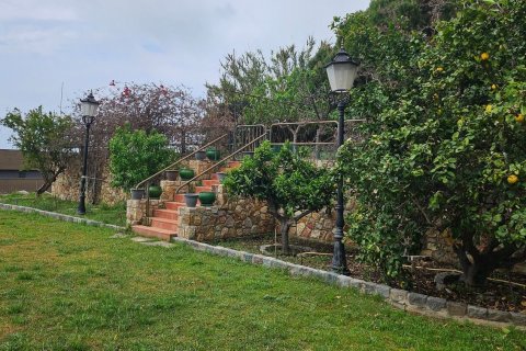 Propiedad comercial en venta en Teia, Barcelona, Cataluña, Spain № 5240 - foto 24