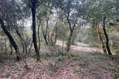 Parcela en venta en Caldes de Montbui, Barcelona, Cataluña, Spain № 7023 - foto 22