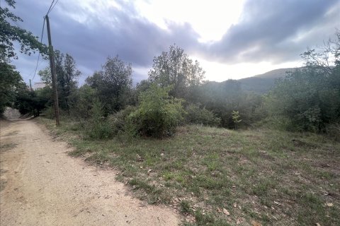 Parcela en venta en Caldes de Montbui, Barcelona, Cataluña, Spain № 7023 - foto 12