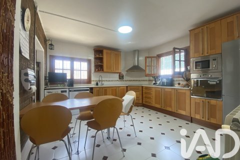 Купить дом в Эльс Пальяресос, Испания с 3 спальни, 258м², № 7403 - фото 25