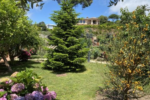 Villa de 3 dormitorios en venta en Sant Andreu de Llavaneres, Barcelona, Cataluña, Spain № 925 - foto 11