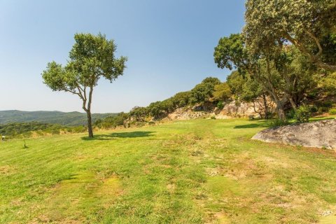 Сasa de 8 dormitorios en venta en Sant Andreu de Llavaneres, Barcelona, Cataluña, Spain № 1370 - foto 9