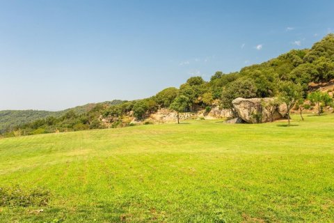 Сasa de 8 dormitorios en venta en Sant Andreu de Llavaneres, Barcelona, Cataluña, Spain № 1370 - foto 12