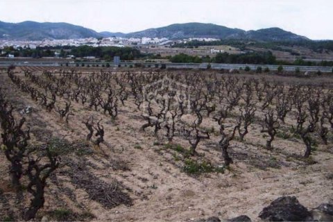 Сasa de 15 dormitorios en venta en Sitges, Barcelona, Cataluña, Spain № 913 - foto 22