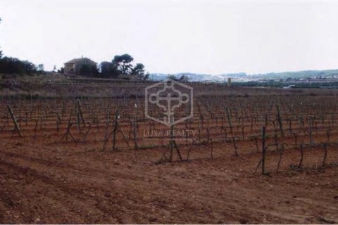 Сasa de 15 dormitorios en venta en Sitges, Barcelona, Cataluña, Spain № 913 - foto 21